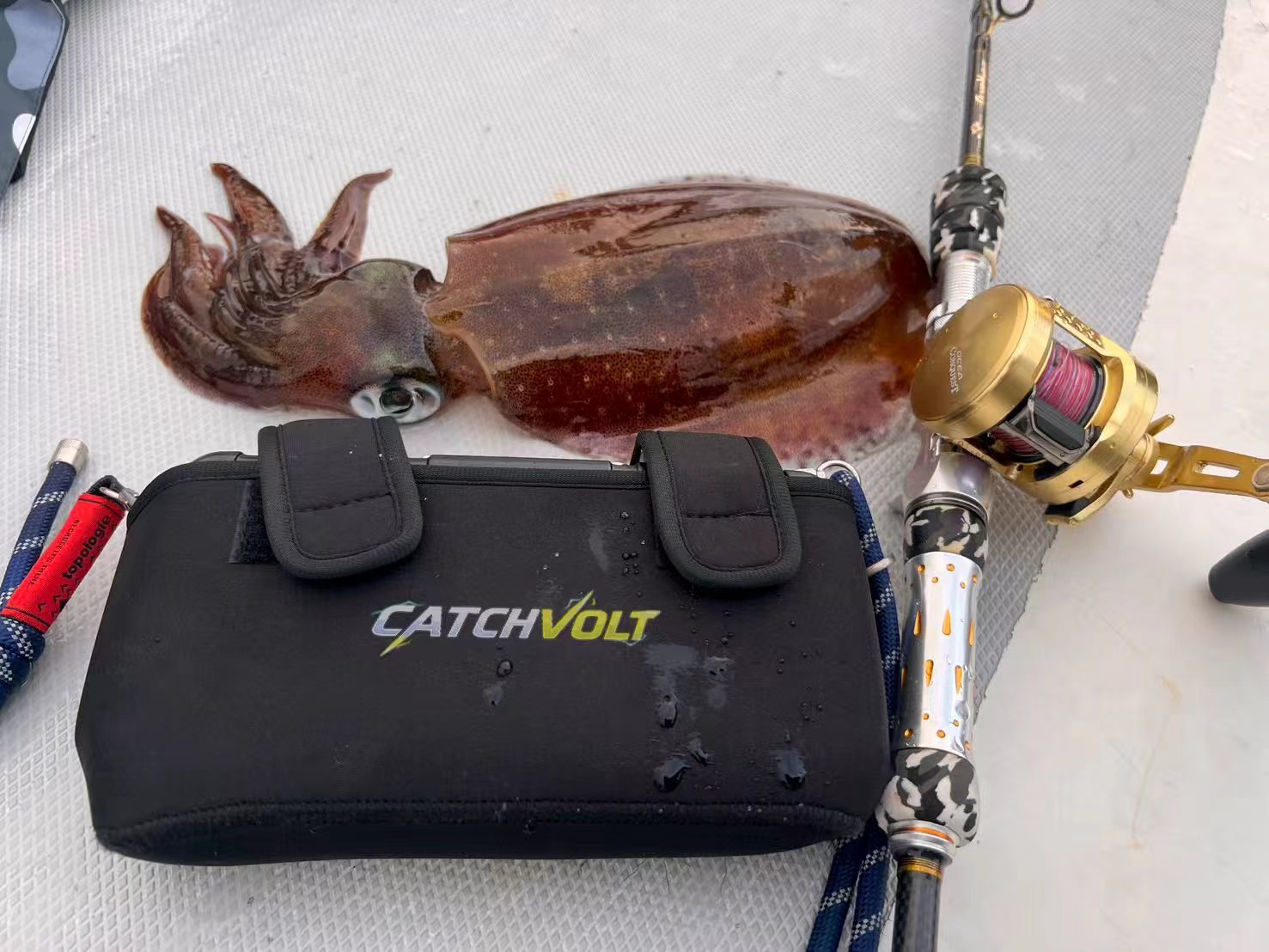 Portable battery bag shown with squid and reel on a fishing boat